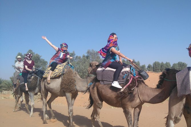 3 Days Desert tour from Fez to Marrakesh via Merzouga Erg chebbi - Who should book this desert tour?