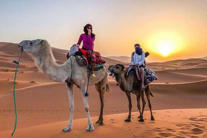 3 Days Desert Trip From Fes Back To Fes - Camel Trek at Sunset