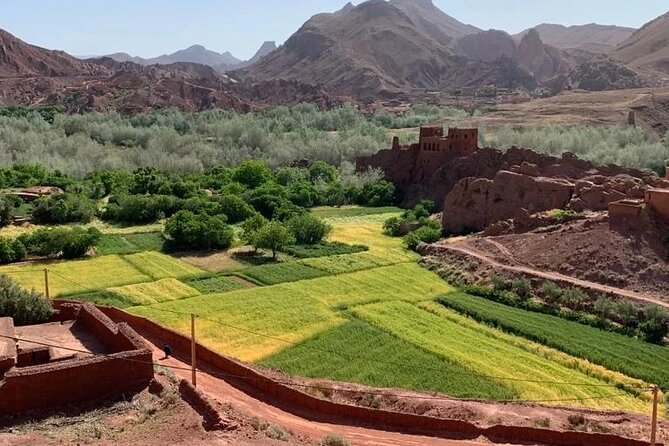 3 Days Fez to Marrakech via Sahara - Who should book this Sahara trip?
