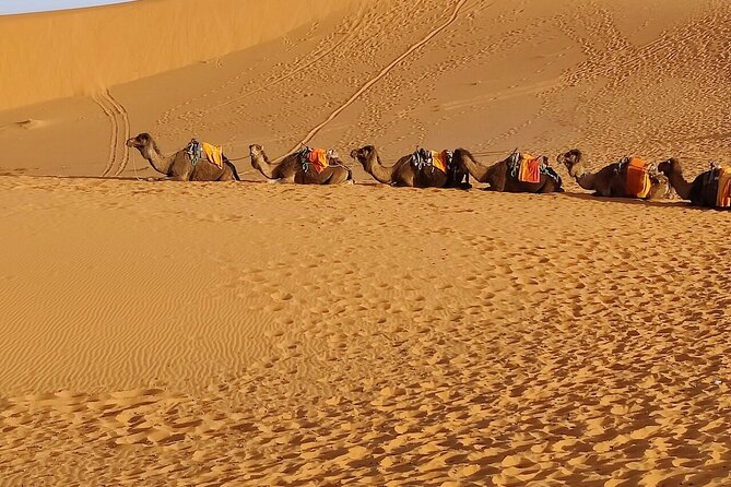 3 Days Luxury Desert Tour From Fes To Marrakech via Merzouga - Crossing the High Atlas to Marrakech
