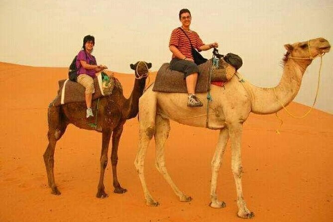 3 Days Luxury Desert Tour From Fes To Marrakech via Merzouga - What the $221 price really buys you