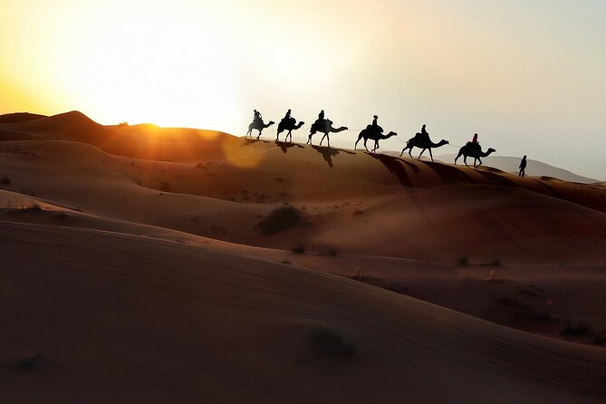 3-Days Morocco Desert Tour from Marrakech to Marzouga - Why the Sahara night makes the long road worthwhile