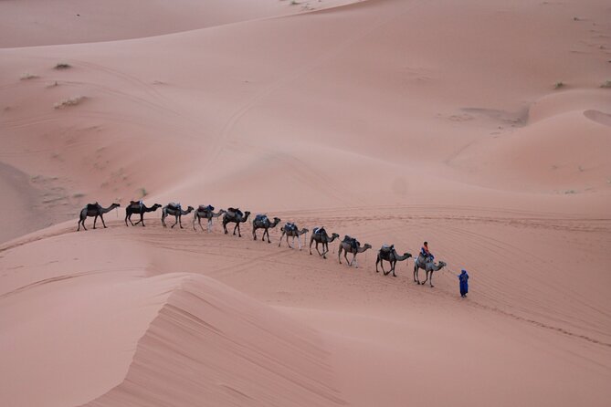 3-Days Morocco Desert Tour from Marrakech to Marzouga - What the $102.19 price really covers