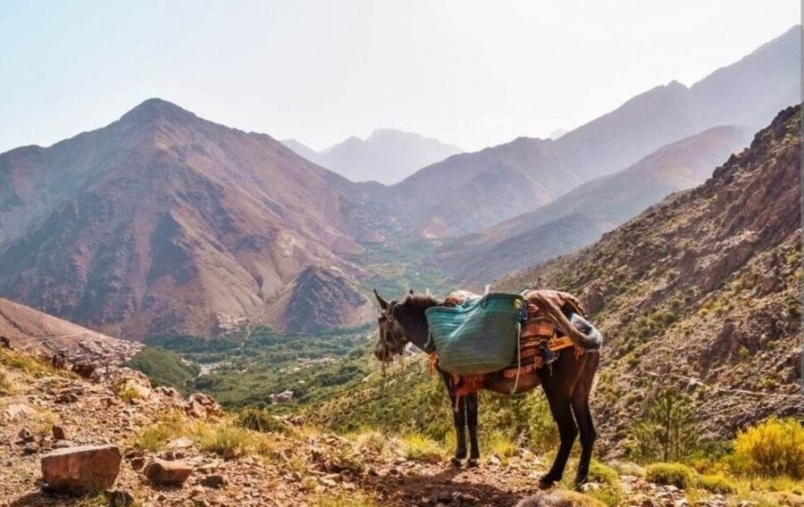 3 Days Trek Atlas Mountains Berber Villages from Marrakech - Day three: Ait Aissa, Oudit Pass, and the return to Marrakech