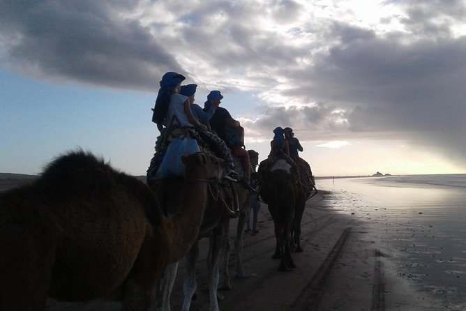 3-hour camel ride at sunset - Plage Tagharte and the Atlantic shore