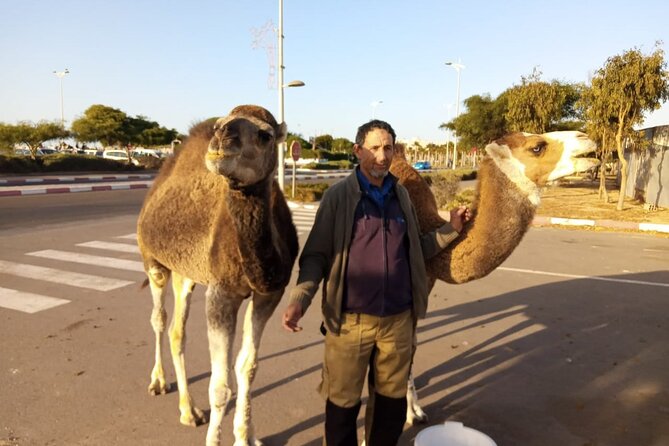 3-hour camel ride at sunset - The possible tea stop near the Hendrix café