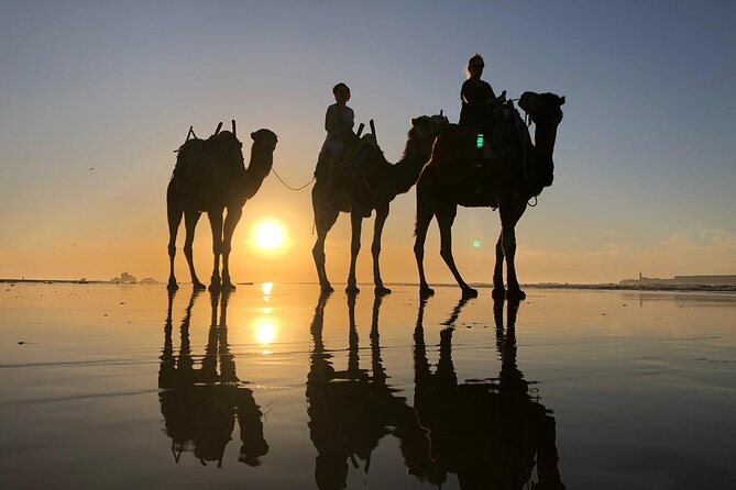 3-hour camel ride at sunset - Is $23.26 a fair price?