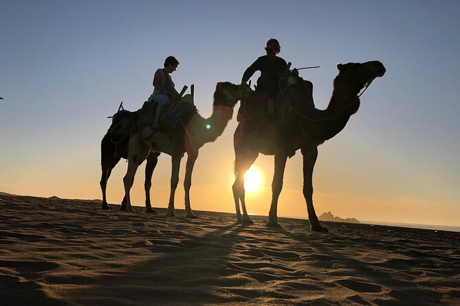 3-hour camel ride at sunset - Booking, pickup, and cancellation details