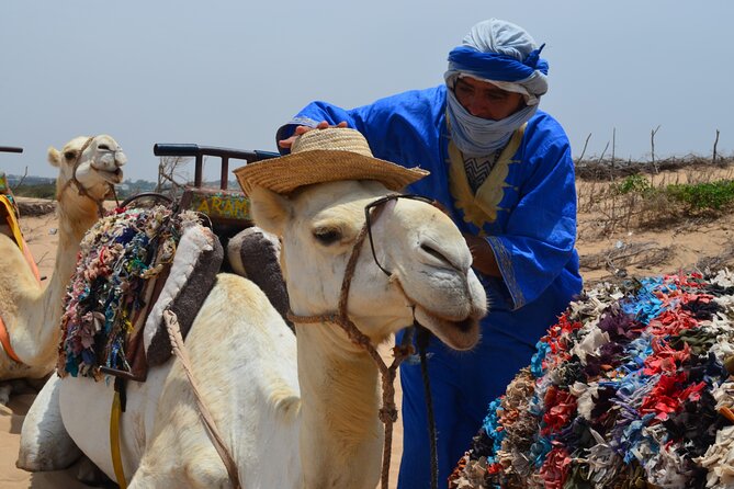 3 hours Camel Ride in Essaouira, beach and dunes - Why this Essaouira camel ride feels different