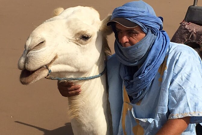 3 hours Camel Ride in Essaouira, beach and dunes - The long ride along Essaouira Beach