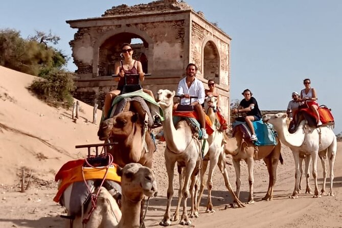 3 hours Camel Ride in Essaouira, beach and dunes - Sand dunes, eucalyptus, and mimosa