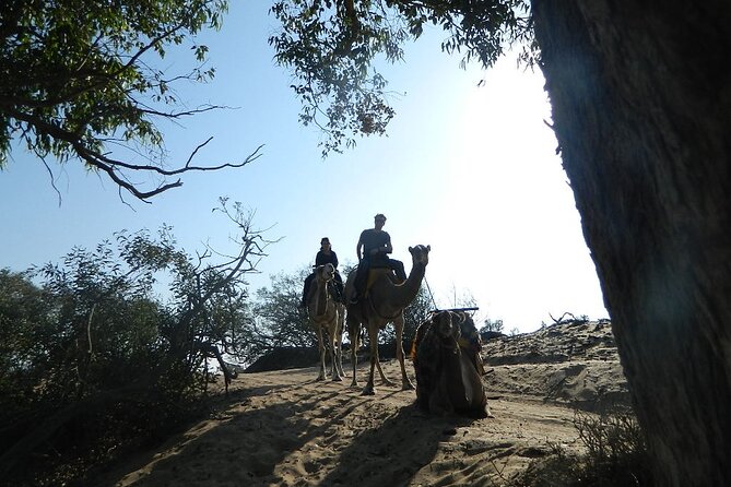 3 hours Camel Ride in Essaouira, beach and dunes - What the $75.60 price includes