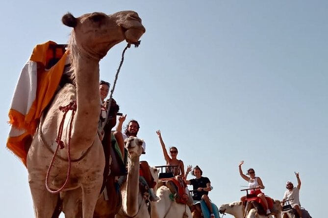 3 hours Camel Ride in Essaouira, beach and dunes - Wind, clothing, and practical comfort
