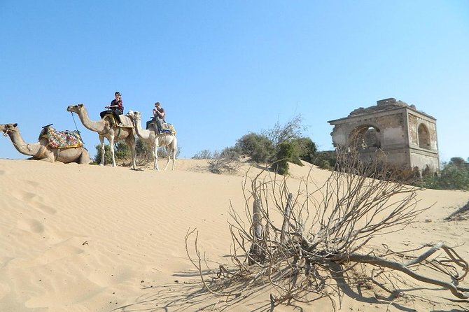 3 hours Camel Ride in Essaouira, beach and dunes - From Moulay M’Hamed Tower to the riding area