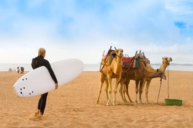 3 hours horse riding in Essaouira, beach, forest and dunes - Why this Essaouira ride is more than a beach canter