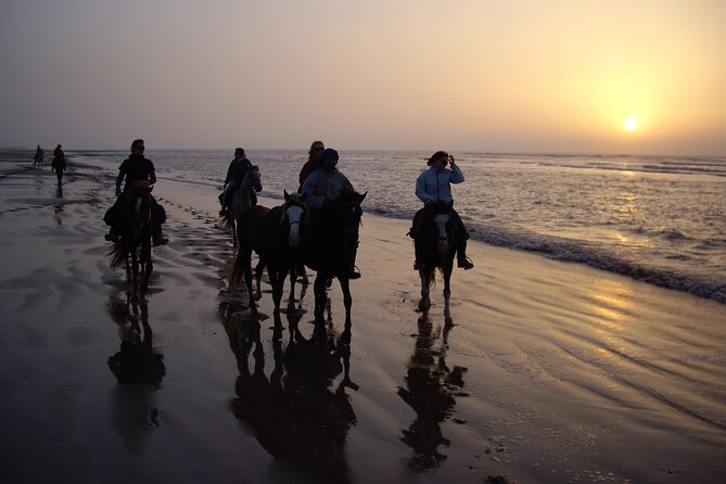 3 hours horse riding in Essaouira, beach, forest and dunes - Choosing between the morning and late-afternoon start