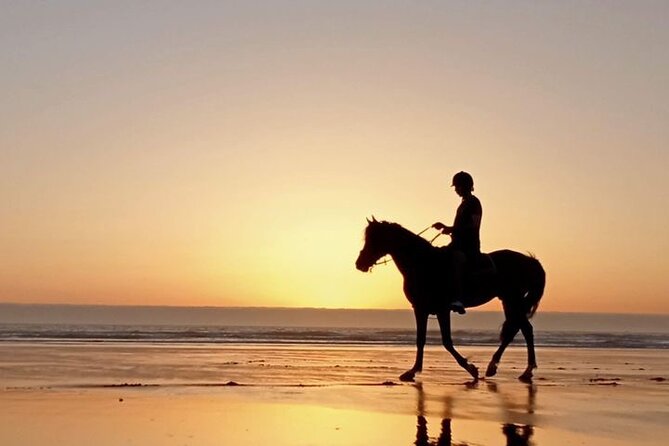 3 hours horse riding in Essaouira, beach, forest and dunes - Is three hours right for your riding level?