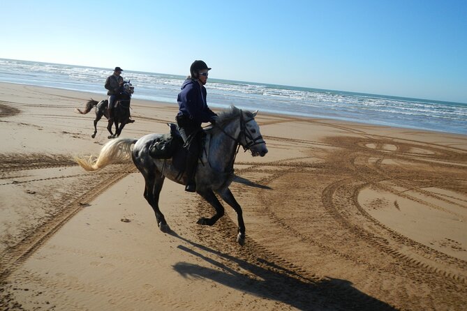 3 hours horse riding in Essaouira, beach, forest and dunes - What the $75.49 price includes