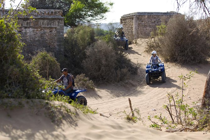 3 Hours Quad Trip in Essaouira discover the Cave and the biggest Dunes - Eucalyptus, mimosa, springs, and open sand