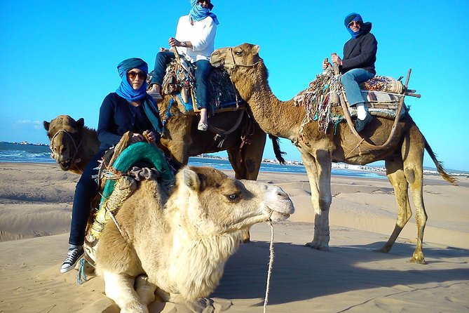 3 hours ride on camel at sunset - From Bab Sba to the Essaouira shore