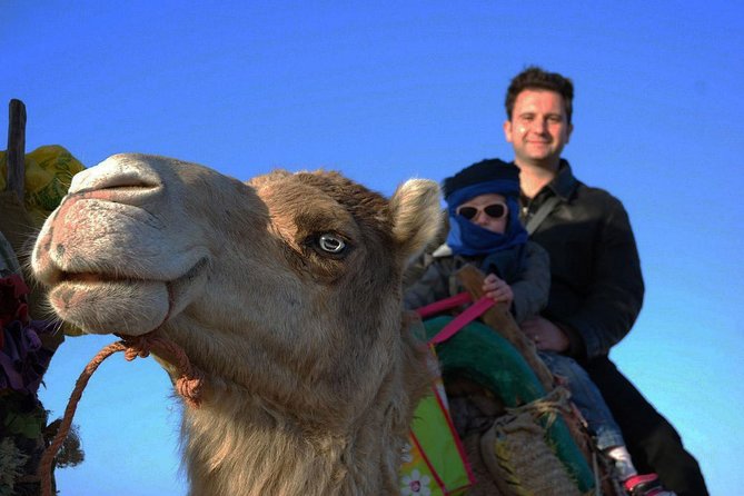 3 hours ride on camel at sunset - The guides and the personal touches