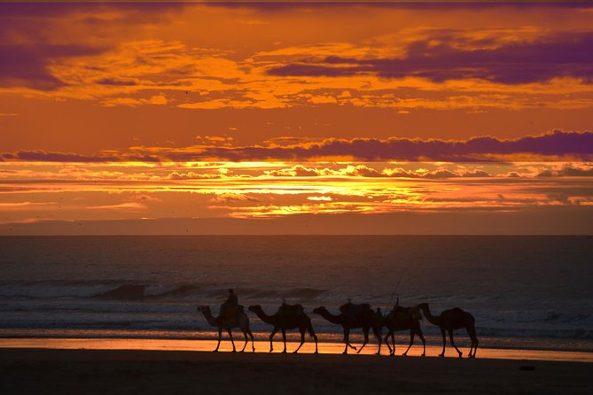 3 hours ride on camel at sunset - Is $52.14 good value?