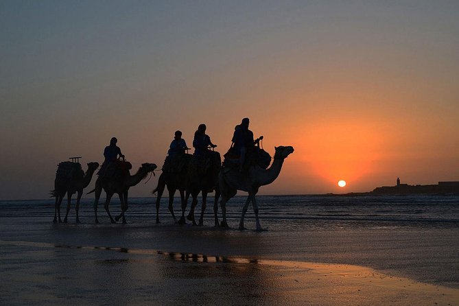 3 hours ride on camel at sunset - Who will enjoy this most?