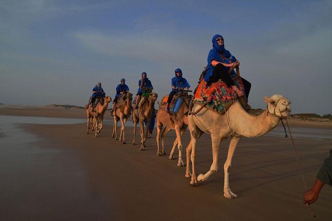 3 hours ride on camel at sunset - A slow ride beside Essaouira’s wild beaches