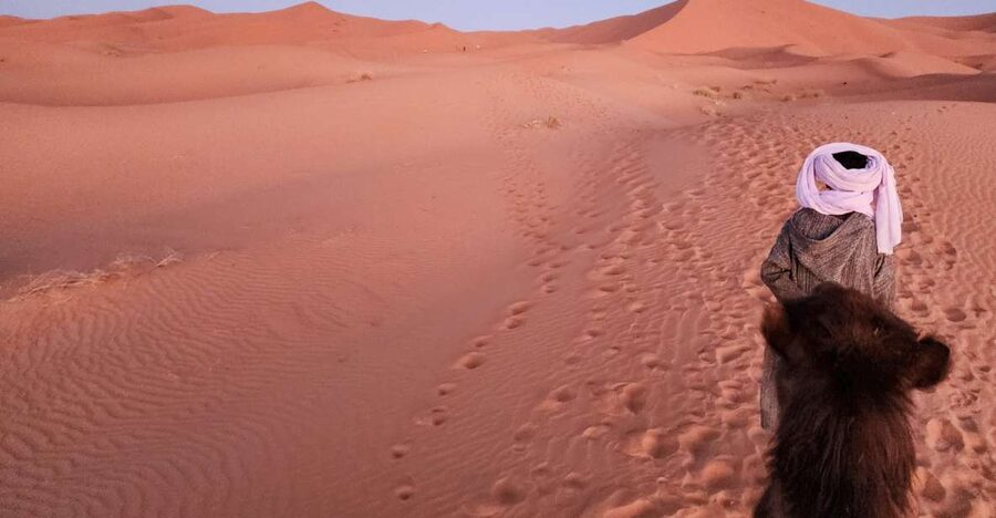 3D Deluxe Experience: Marrakech to Merzouga w/ Quad Option - Who should book this desert trip?