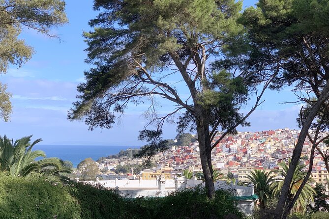 3h Private Walking Tour in Tangier Kasbah Medina & Colorful Souks - Starting in Tangier with a private guide