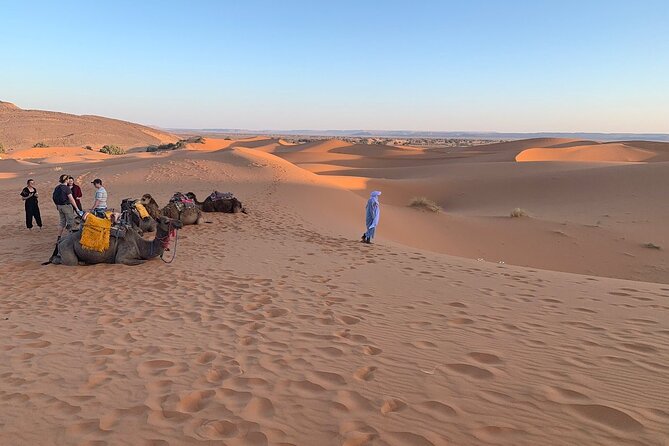 4×4 Jeep Desert Safari Tour with Lunch and Camel Ride - Watching wildlife beside Souss Massa National Park