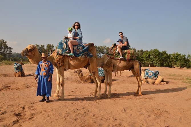 4×4 Jeep Desert Safari Tour with Lunch and Camel Ride - Is $46.46 good value for this route?