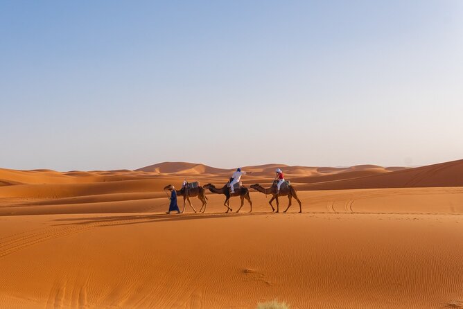 4 Day Authentic Desert Tour From Fes To Marrakech - From Fes to the cedar forest in Ifrane