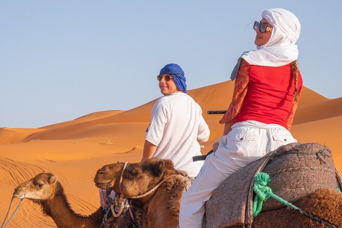 4 Day Authentic Desert Tour From Fes To Marrakech - Todra River and the overnight stop at Dades Gorge