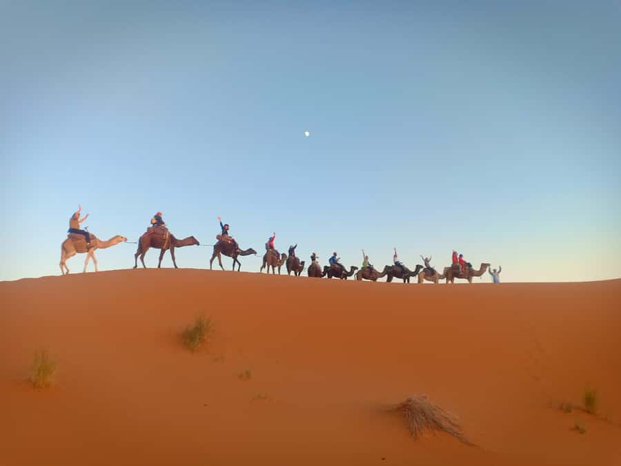 4-Day Marrakech to Merzouga Sahara Adventure & Camel Trek - Day 4: The long return to Marrakech