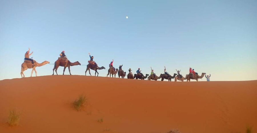 4-Day Marrakech to Merzouga Sahara Adventure & Camel Trek - Guides, vehicles, and the group experience