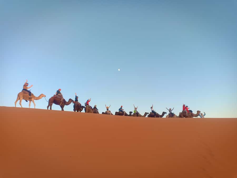 4-Day Marrakech to Merzouga Sahara Adventure & Camel Trek - Who should book this desert trip?