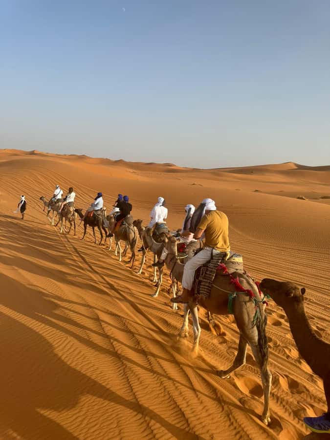 4-Day Marrakech to Merzouga Sahara Adventure & Camel Trek - Day 1: Over the Atlas to Ait Ben Haddou and Dades