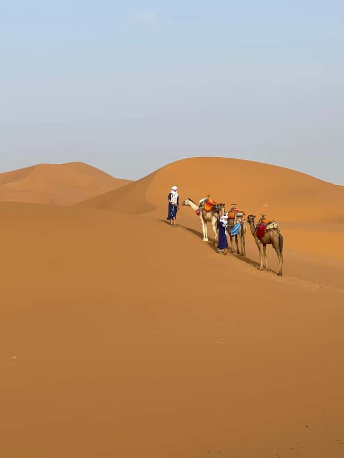 4 days Sahara Desert Tour From Marrakech To Merzouga dunes - Crossing the Atlas on the way to Ait Ben Haddou