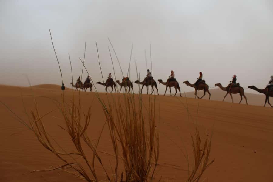 4 days Sahara Desert Tour From Marrakech To Merzouga dunes - Todra Gorge and the approach to Merzouga