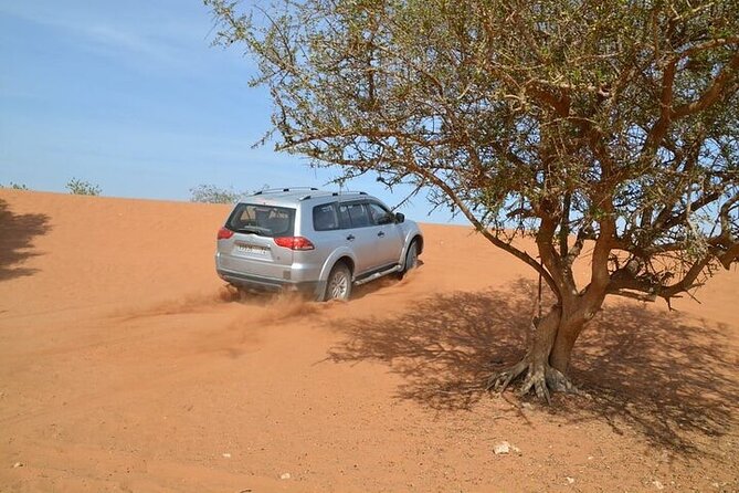 4 WD Agadir Small desert discovery including lunch - The guides can make or break the day