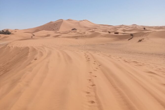 4WD Agadir Day Trip to Massa - A Berber lunch with couscous, tagine, and fruit