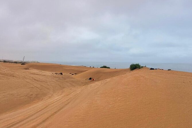 4x4 Jeep Safari in Agadir Mini Sahara and Berber Lunch - The Massa River and the Youssef Ben Tachfin Dam