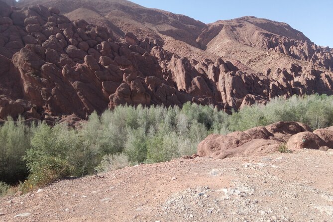 5 Days Private Tour from Casablanca to Fes and Sahara Desert - Day 5: The Rose Valley, Ouarzazate, and Ait Benhaddou