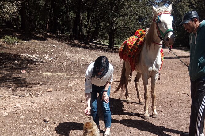 5 Days Private Tour from Casablanca to Fes and Sahara Desert - What the $1,800.25 price means