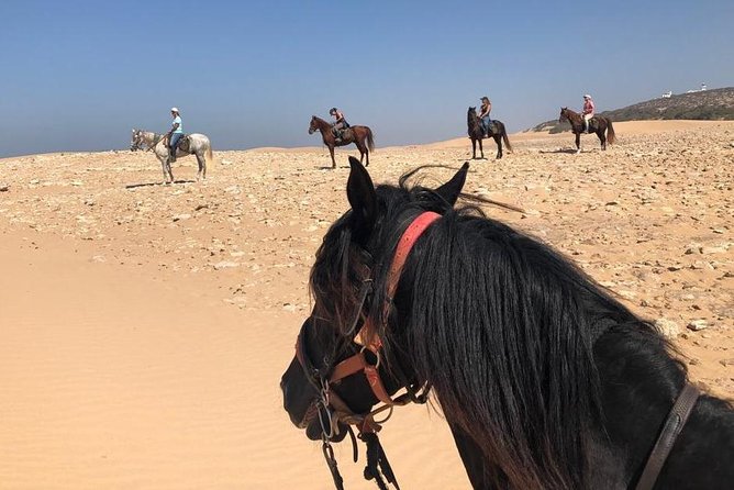 5 hours ride + picnic - Key points to know before you book