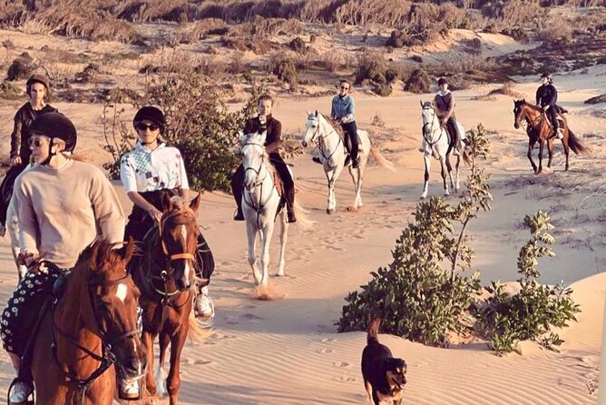 5 hours ride + picnic - The dunes above the wild beach