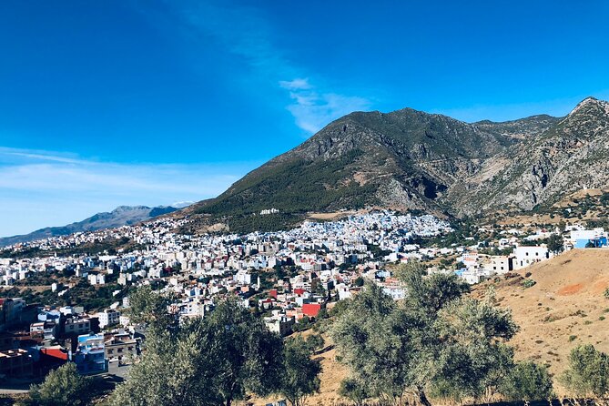 6 Days Private Morocco Tour from Casablanca to Marrakech - Day 4: From cedar forests to the Sahara