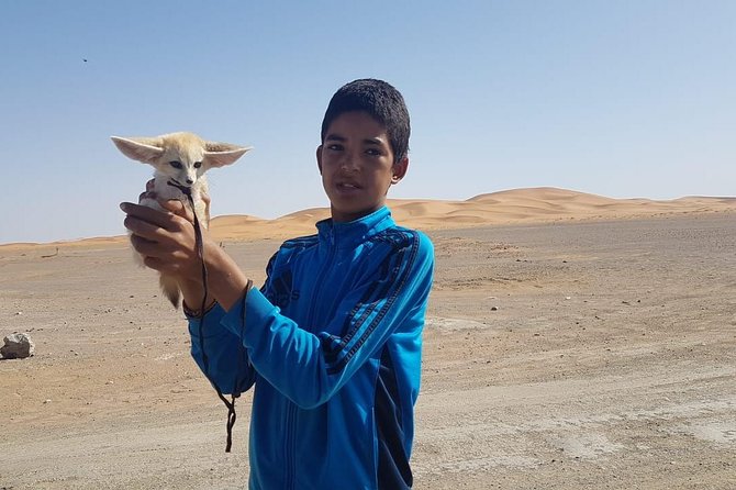 7-days: Casablanca to Chefchaouen then Fes and Sahara Desert - Camel Trekking - Day 7: Roses, kasbahs, film country, and the High Atlas
