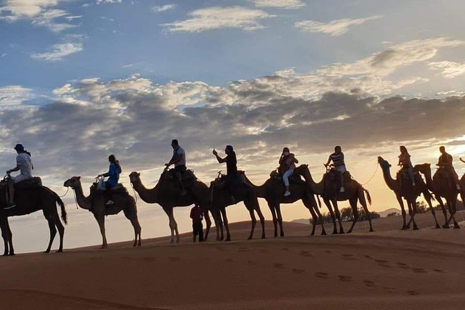 8-Day Morocco Adventure: Imperial Cities & Sahara Desert Trek - Volubilis and Meknes bring Roman and royal Morocco together